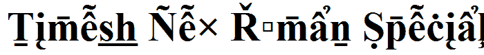 Times New Roman Special G2 Bold font